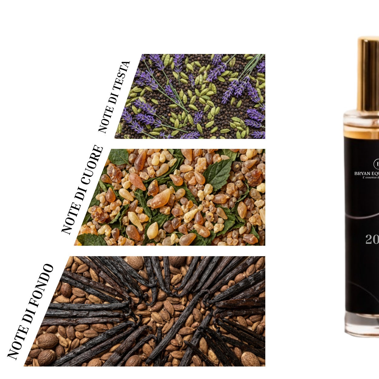 N2016 – Eau de Parfum Uomo 100 ml